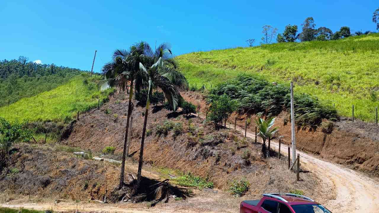 Terreno com Lagoa e Frutas