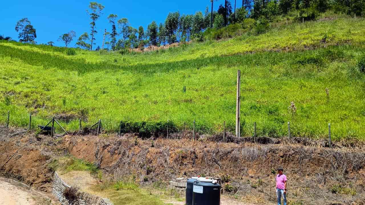 Terreno com Lagoa e Frutas