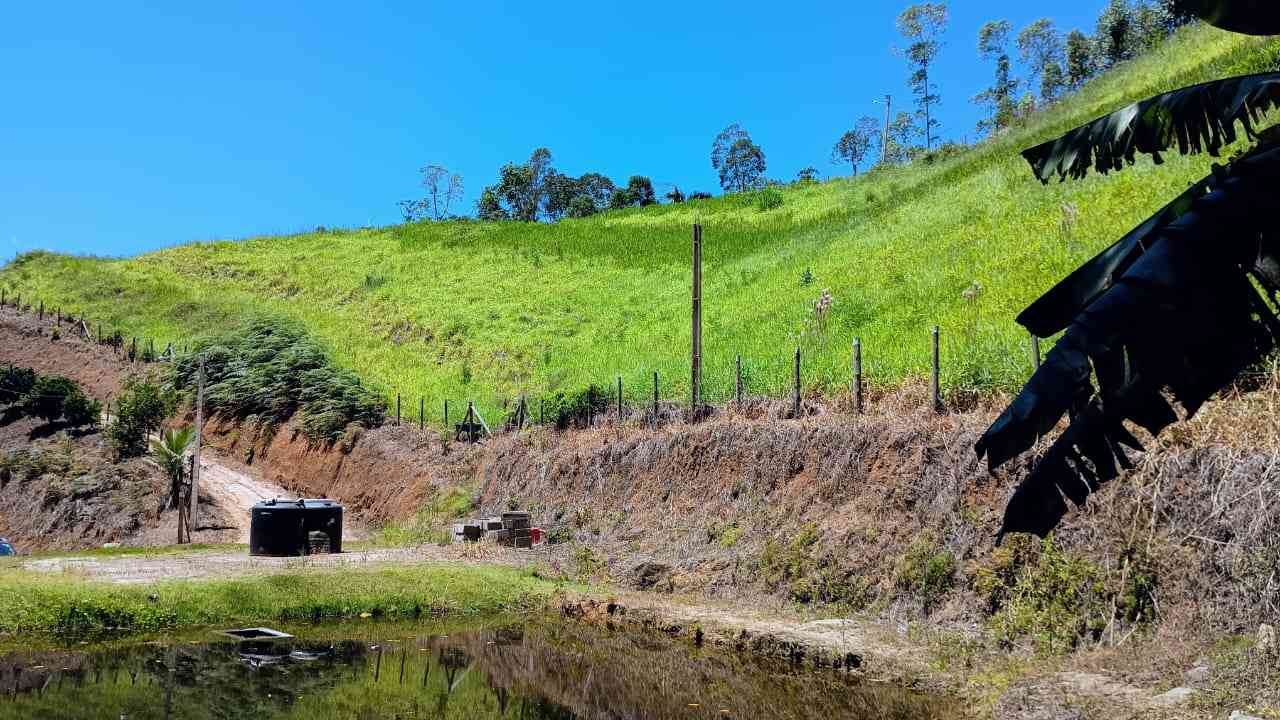 Terreno com Lagoa e Frutas