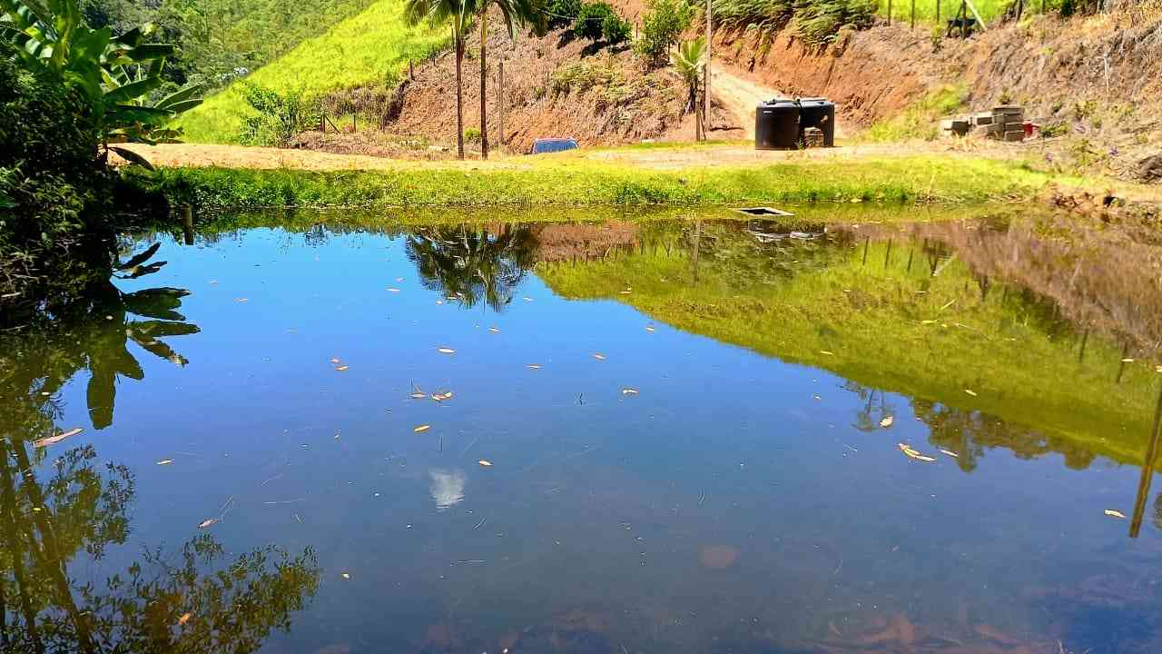 Terreno com Lagoa e Frutas