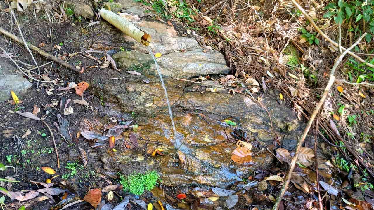 Terreno com Lagoa e Frutas