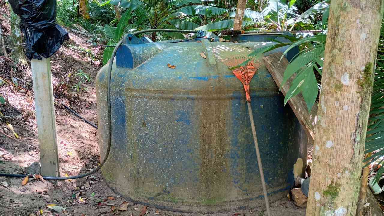 Terreno com Lagoa e Frutas