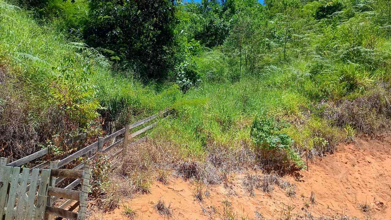 Terreno com Lagoa e Frutas