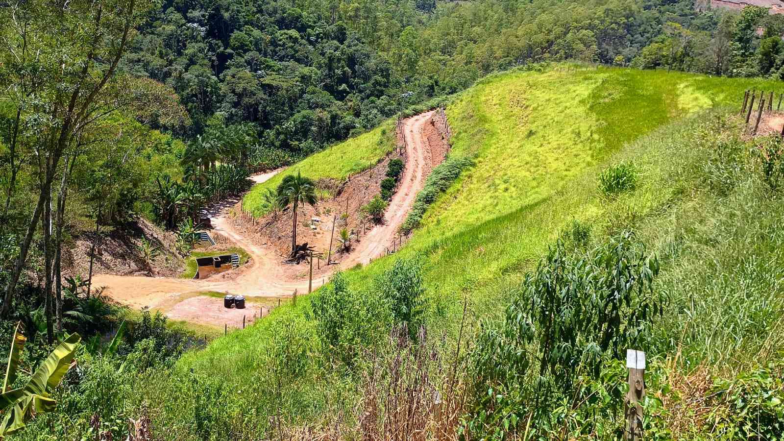 Terreno com Lagoa e Frutas
