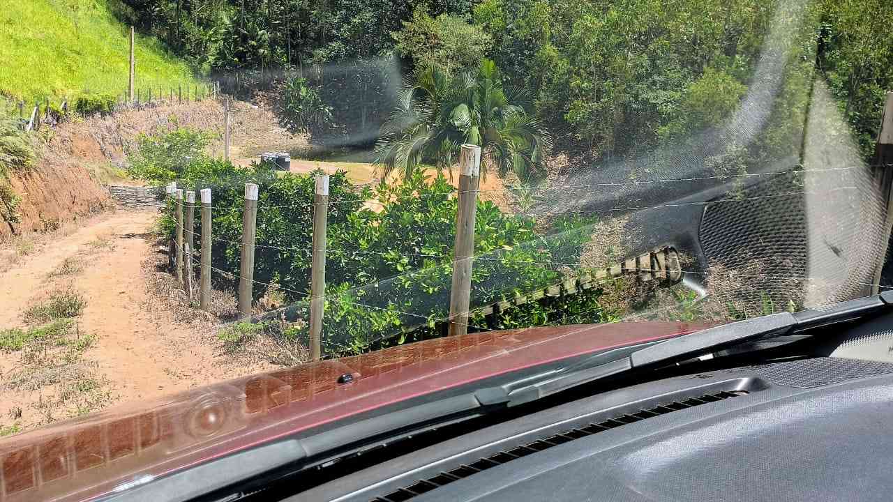 Terreno com Lagoa e Frutas