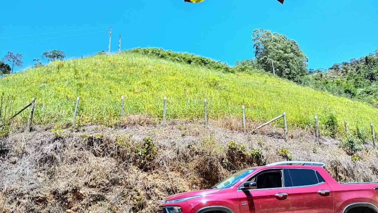 Terreno com Lagoa e Frutas