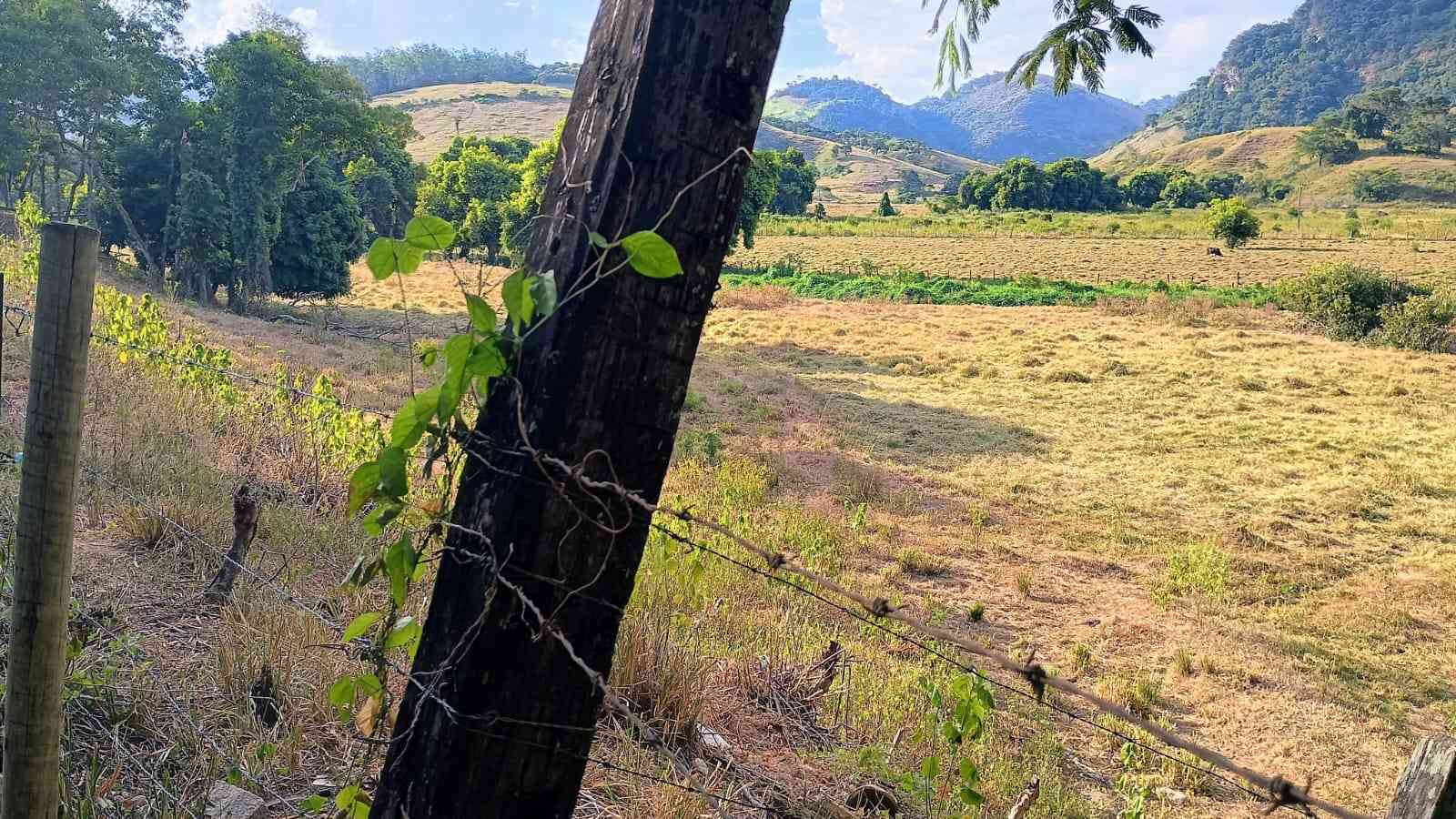 Terreno com Lagoa e Frutas