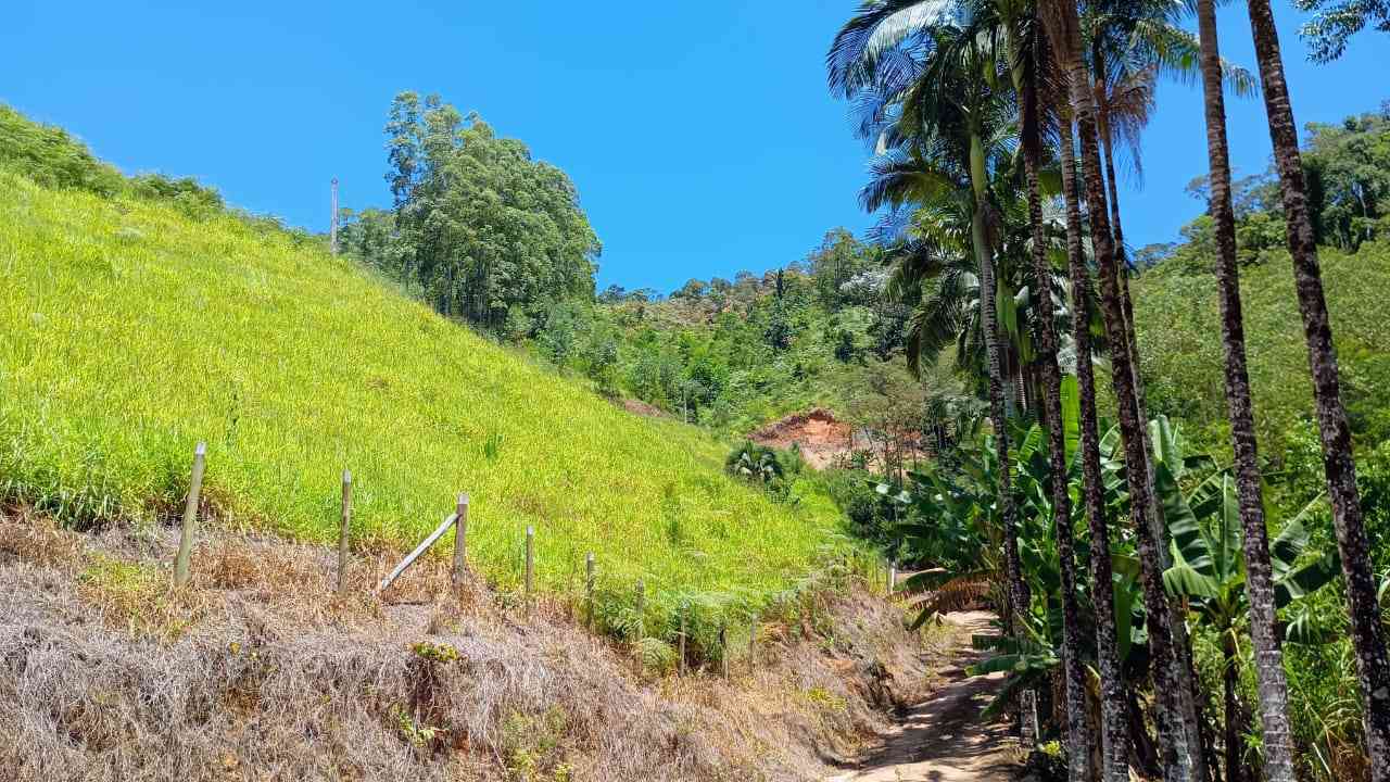 Terreno com Lagoa e Frutas