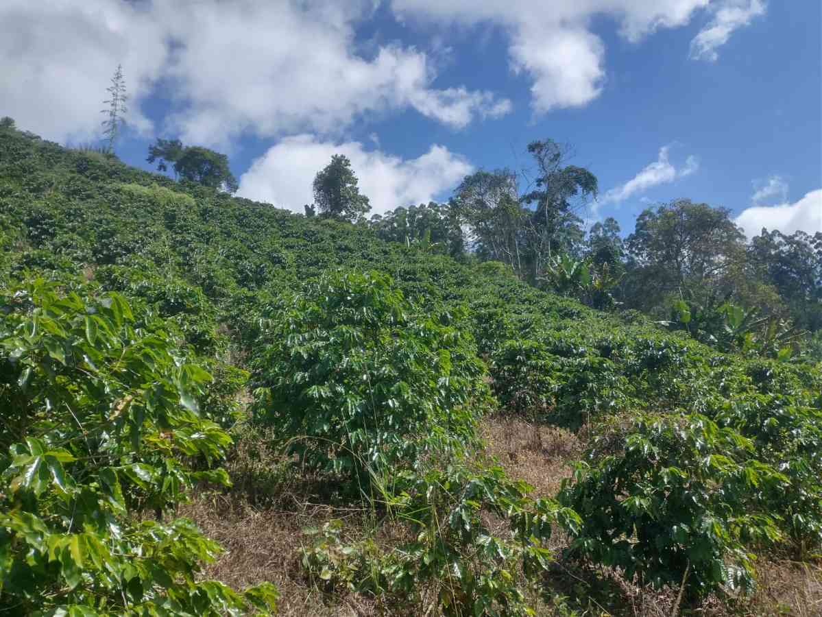 Terreno em Sumidouro