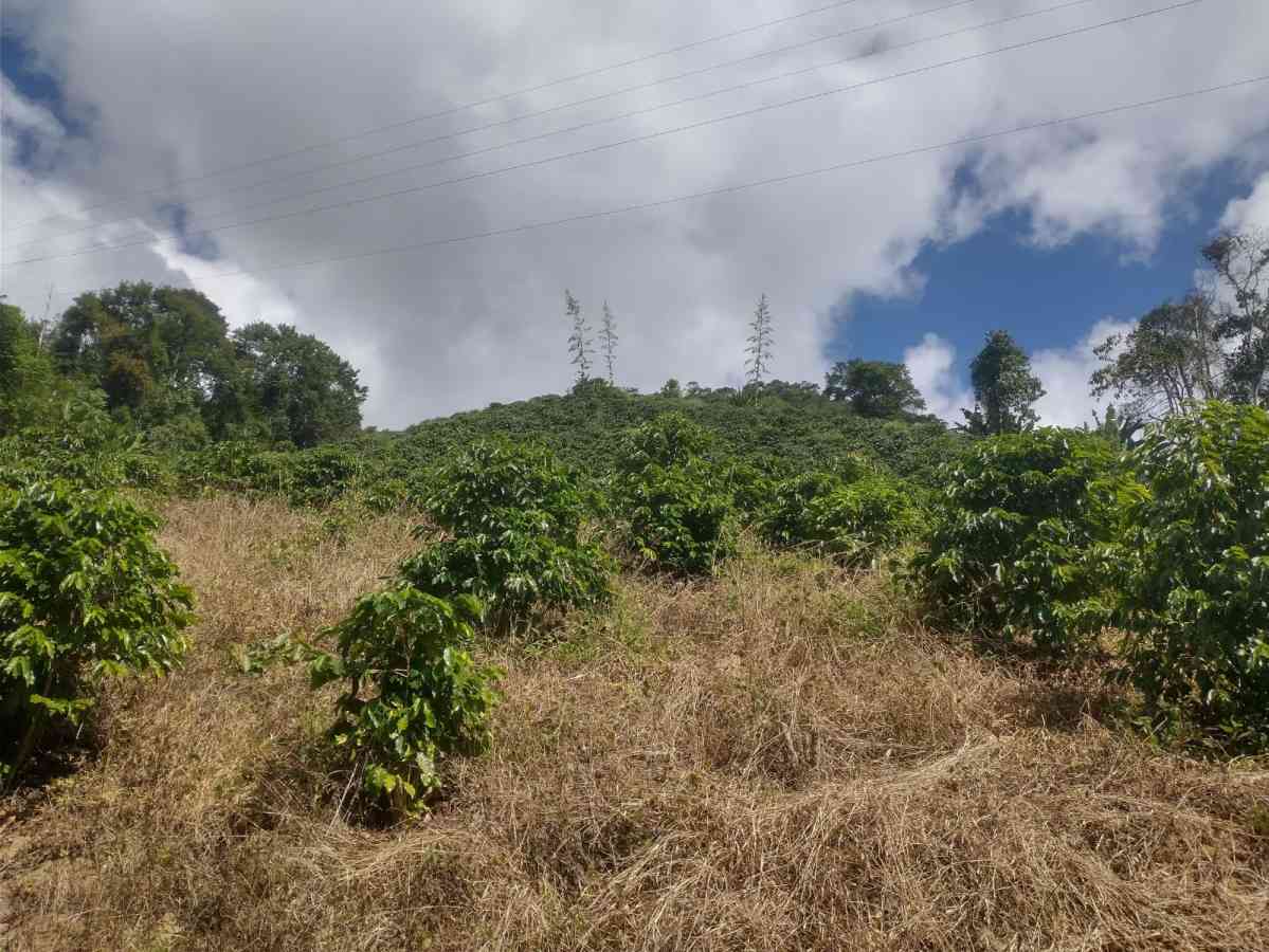 Terreno em Sumidouro
