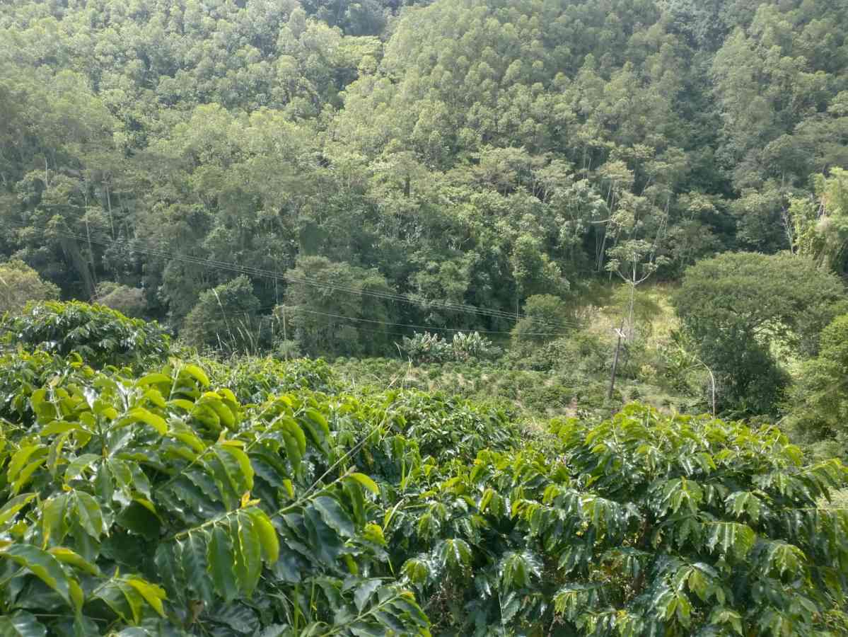 Terreno em Sumidouro
