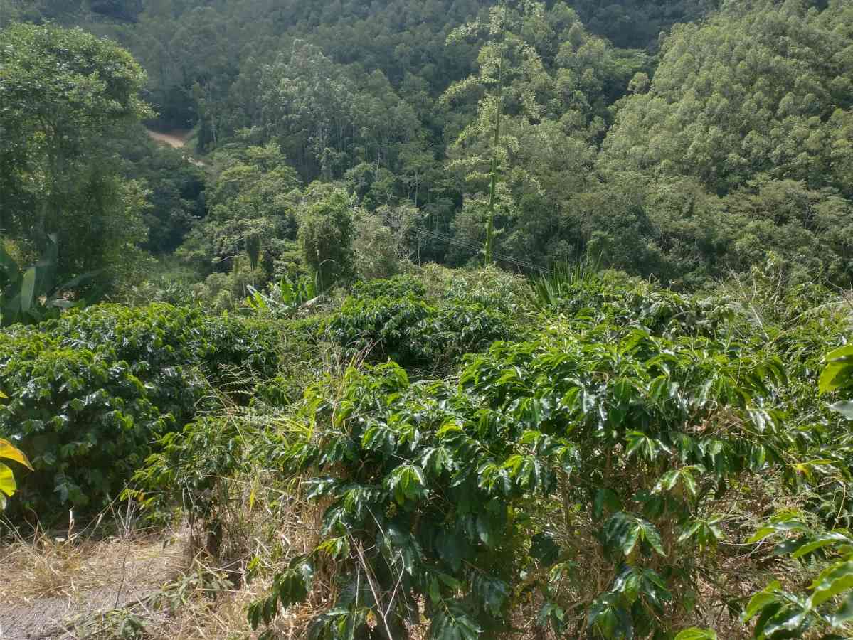 Terreno em Sumidouro
