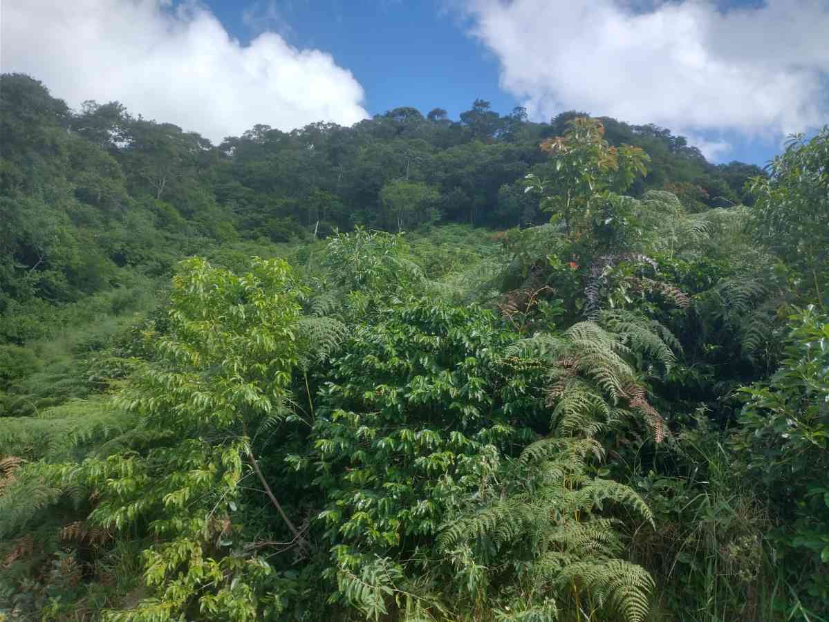 Terreno em Sumidouro