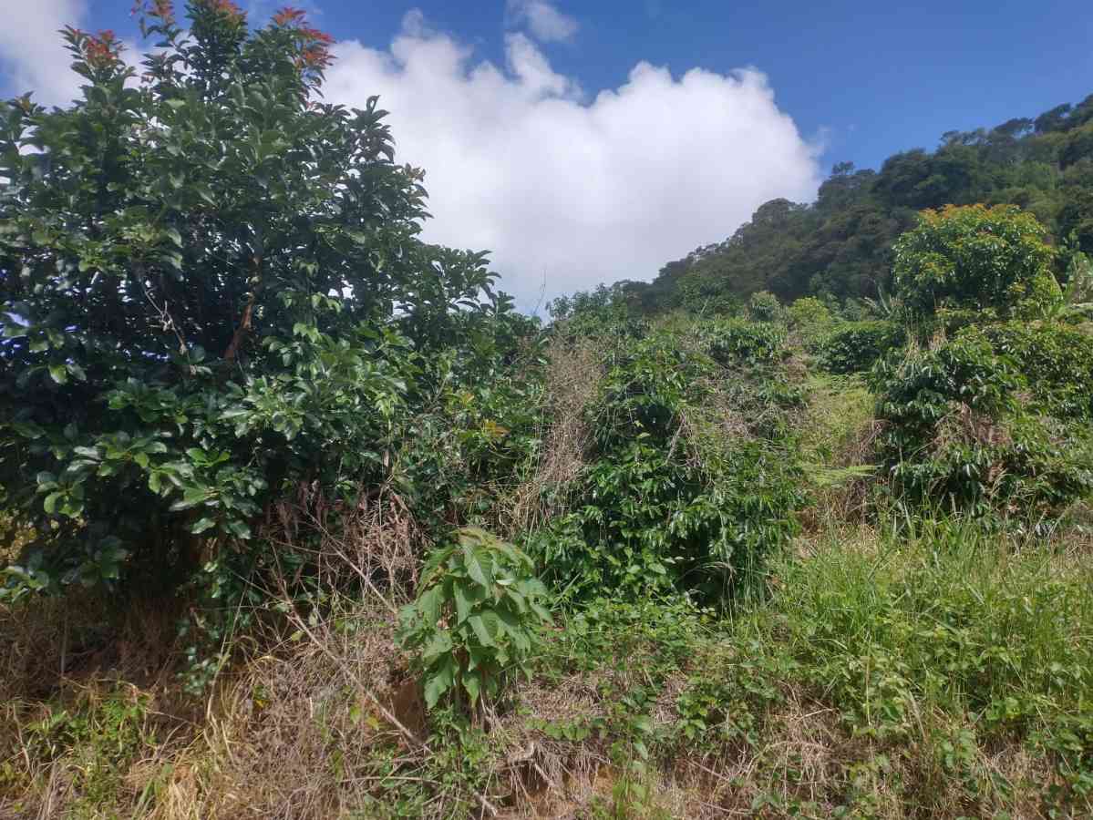 Terreno em Sumidouro