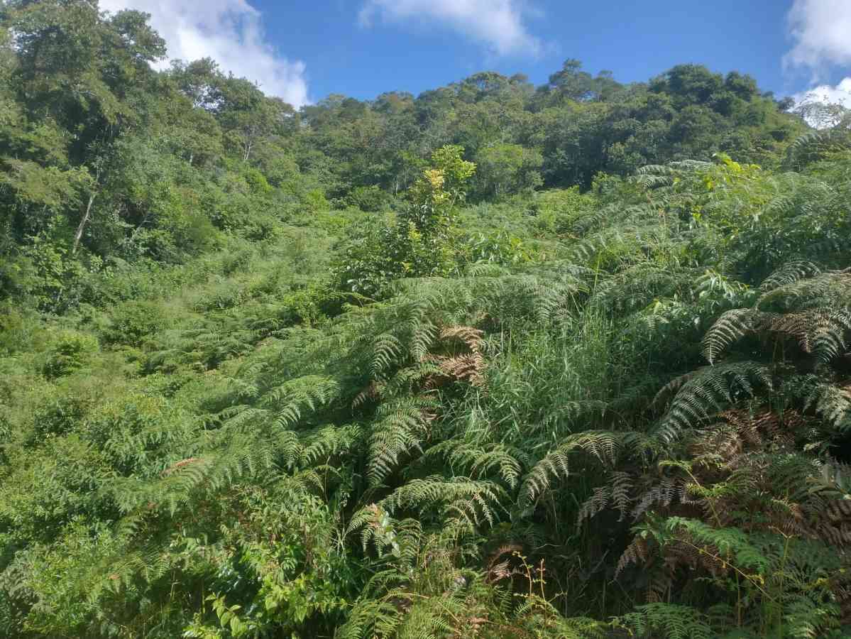 Terreno em Sumidouro