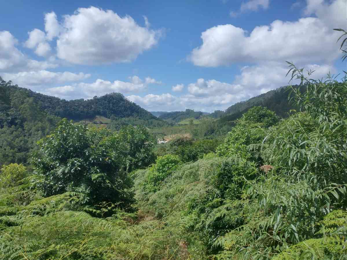 Terreno em Sumidouro