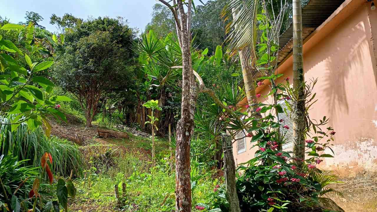 Terreno com Casa Simples