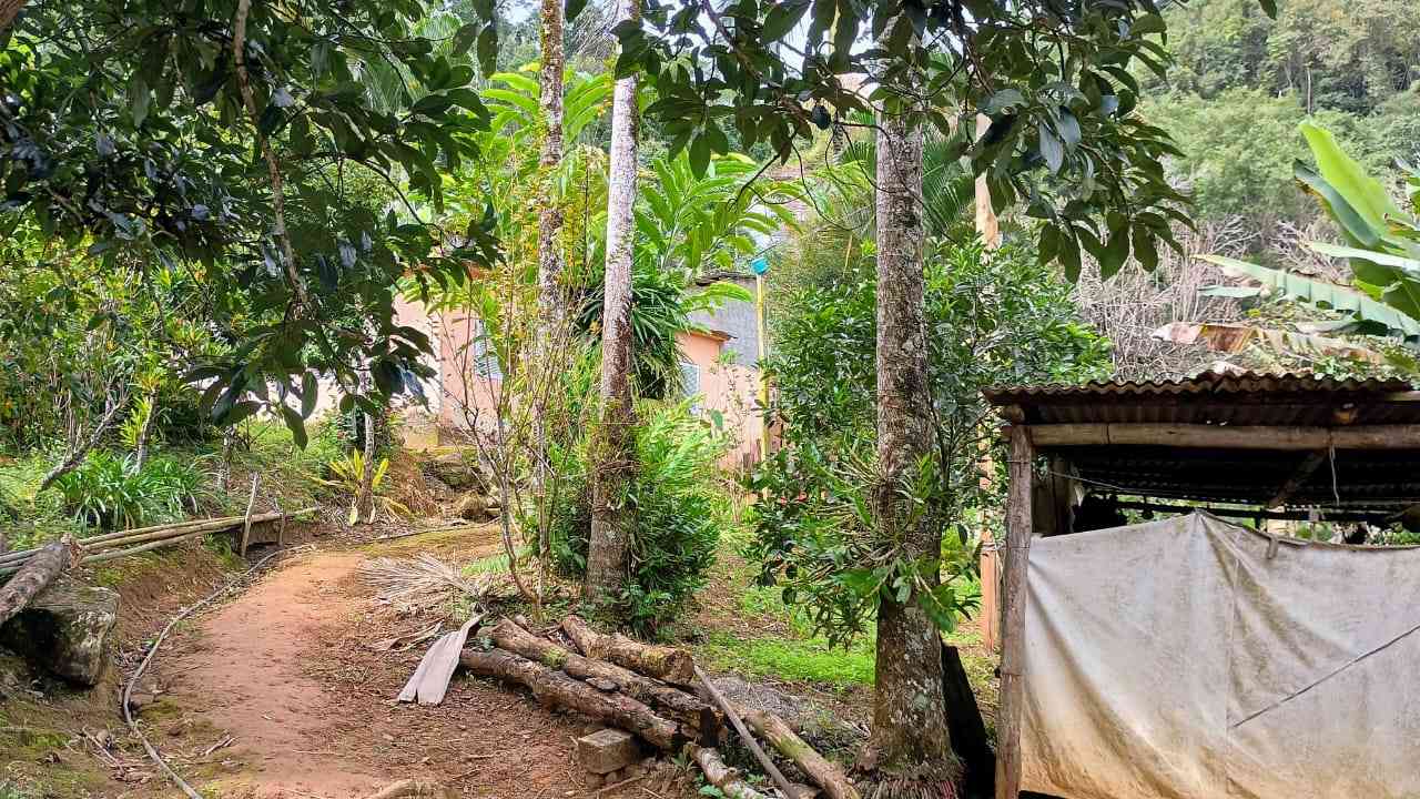 Terreno com Casa Simples