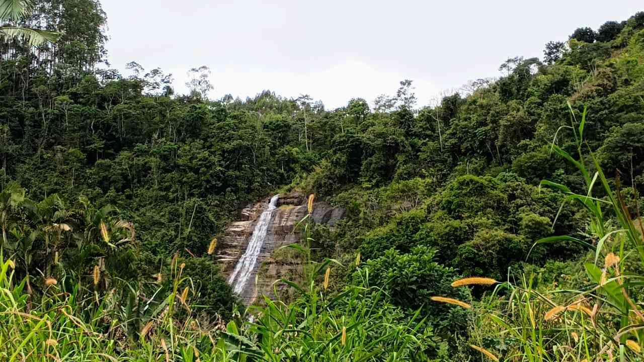 Terreno com Casa Simples