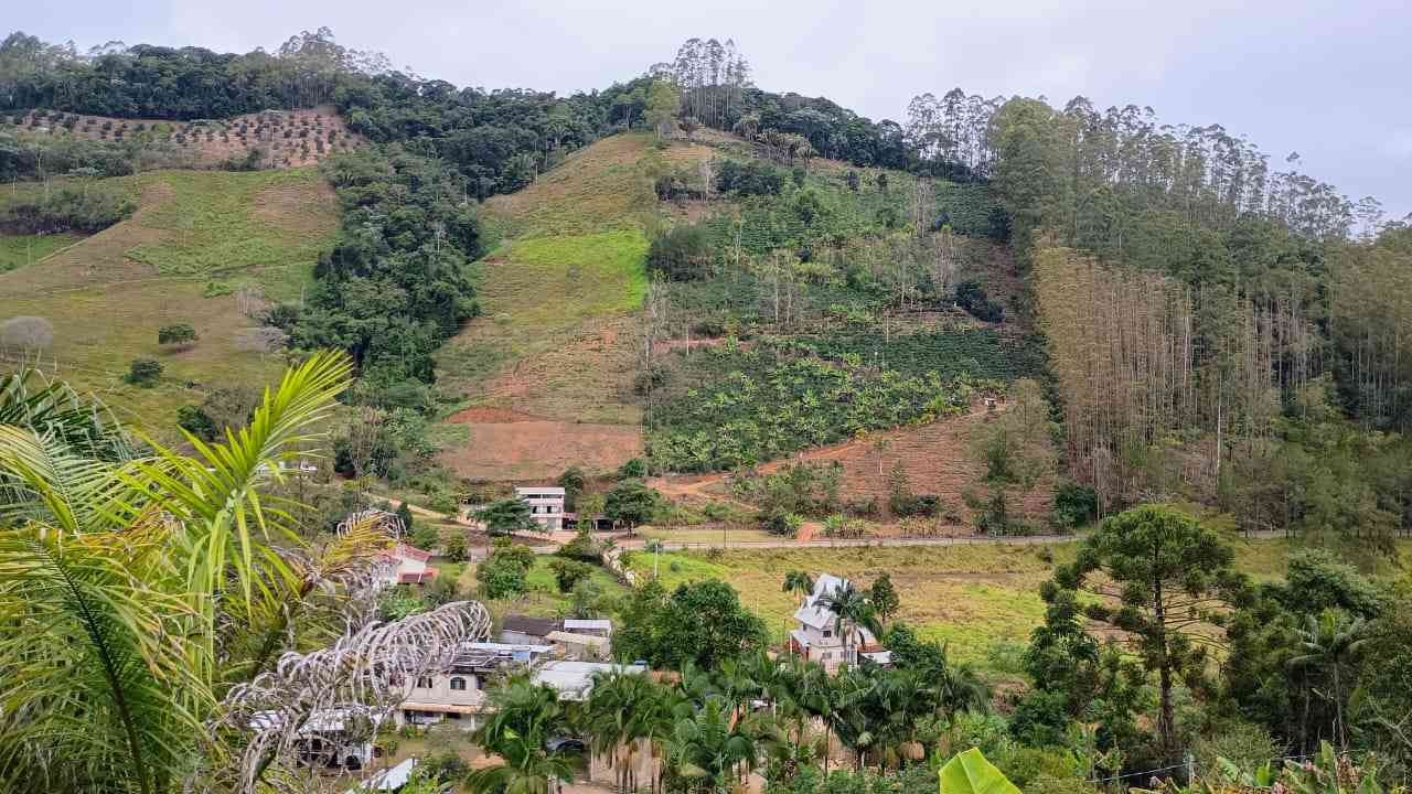 Terreno 1