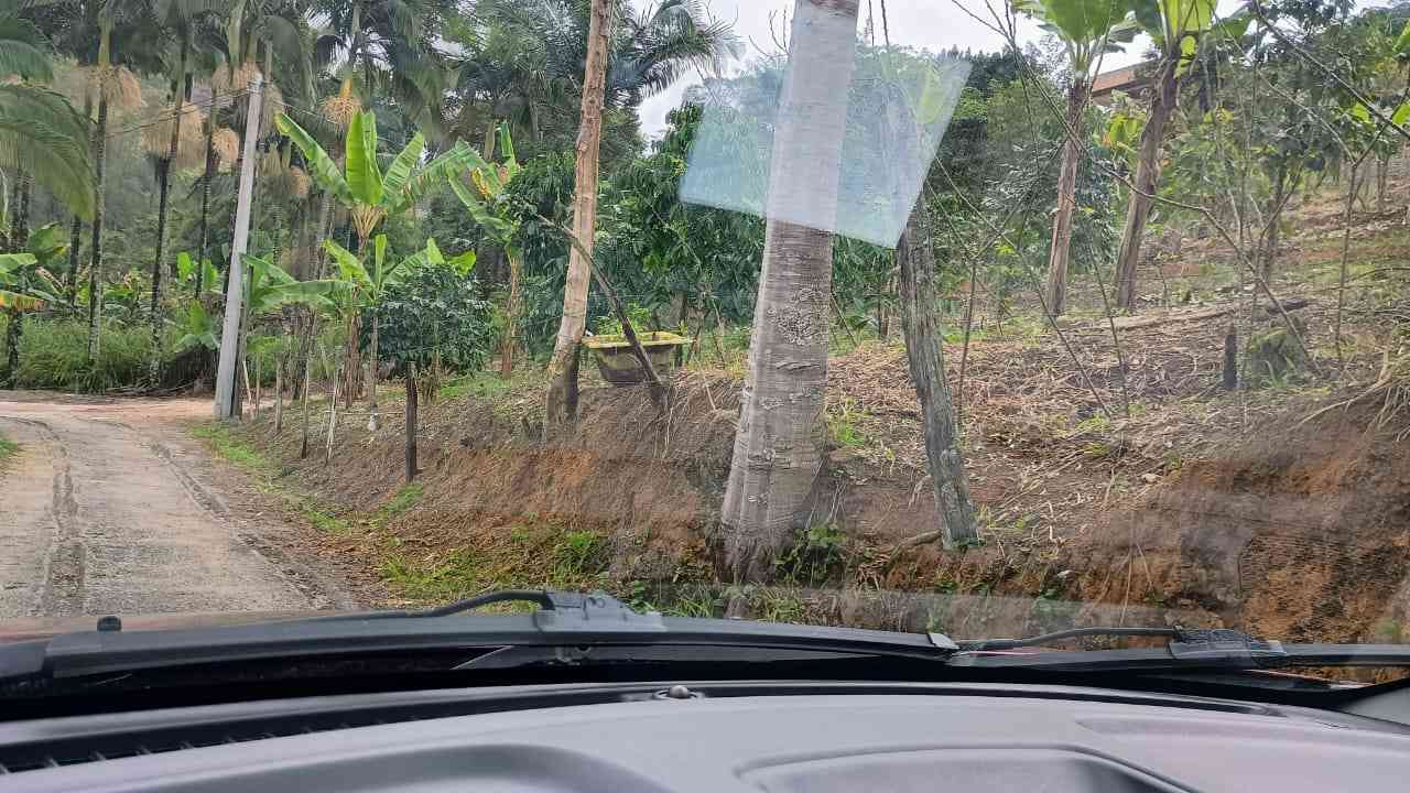 Terreno 1