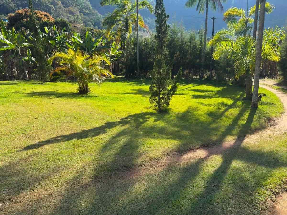 Propriedade com 2 Casas e 5.000 m² de Terreno à Venda em Pombal de Cima