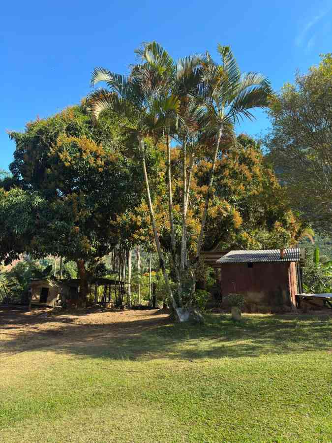 Propriedade com 2 Casas e 5.000 m² de Terreno à Venda em Pombal de Cima