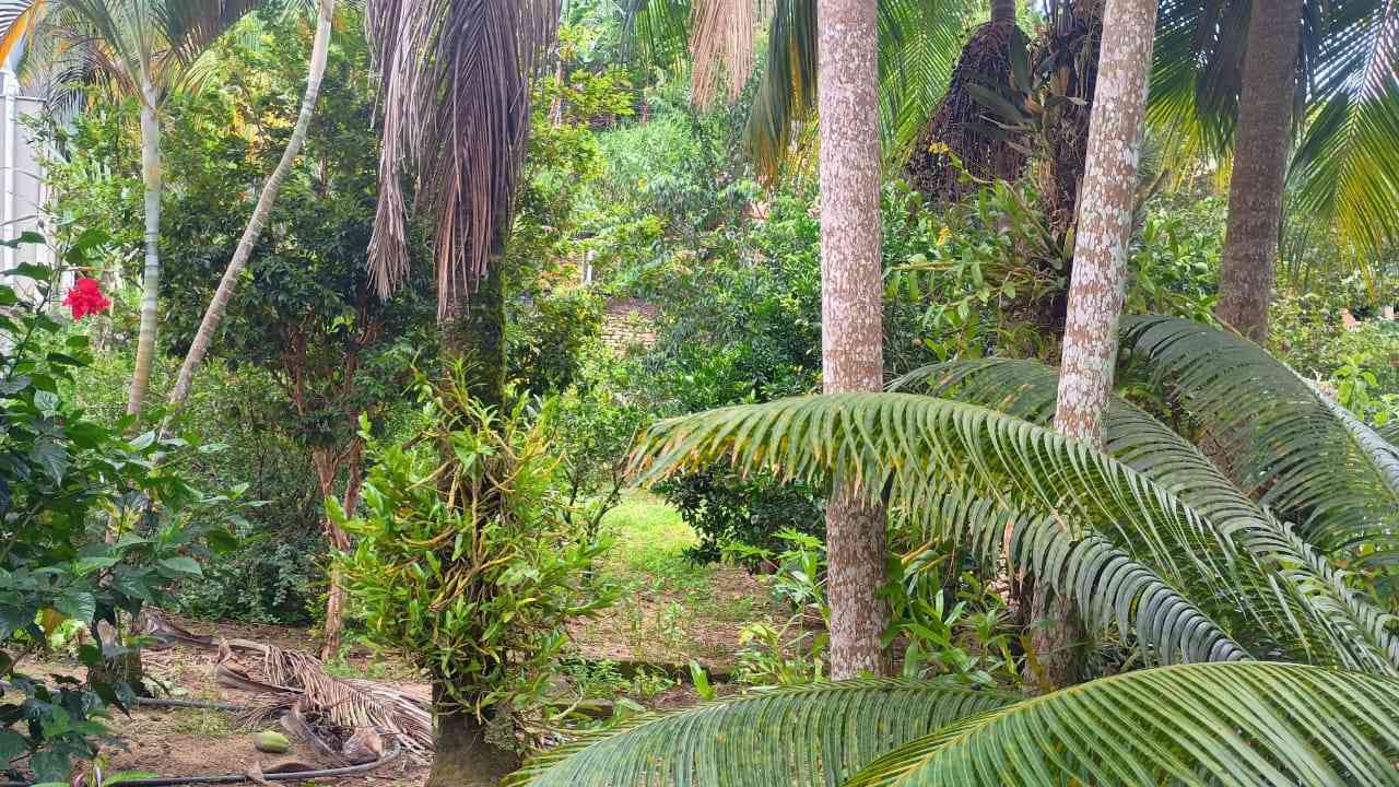 Chácara em Fruteiras