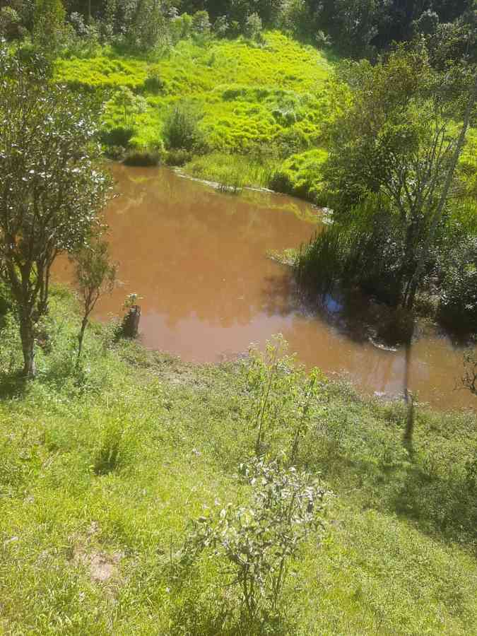 Terreno