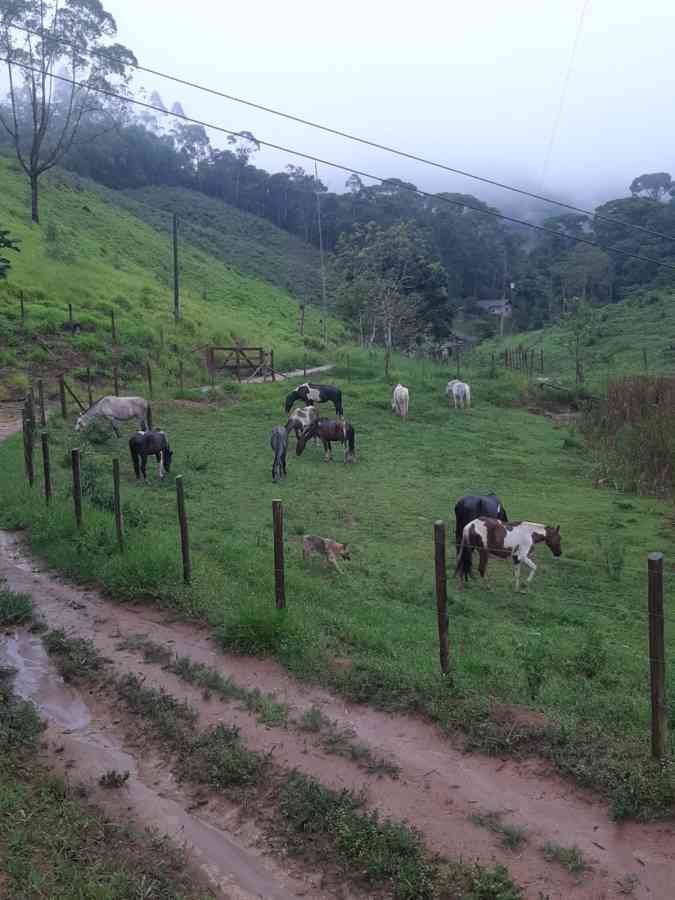 Terreno