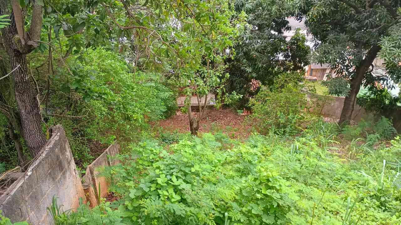 Terreno