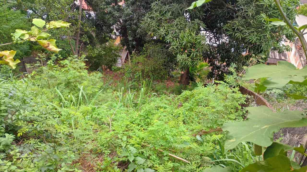 Terreno