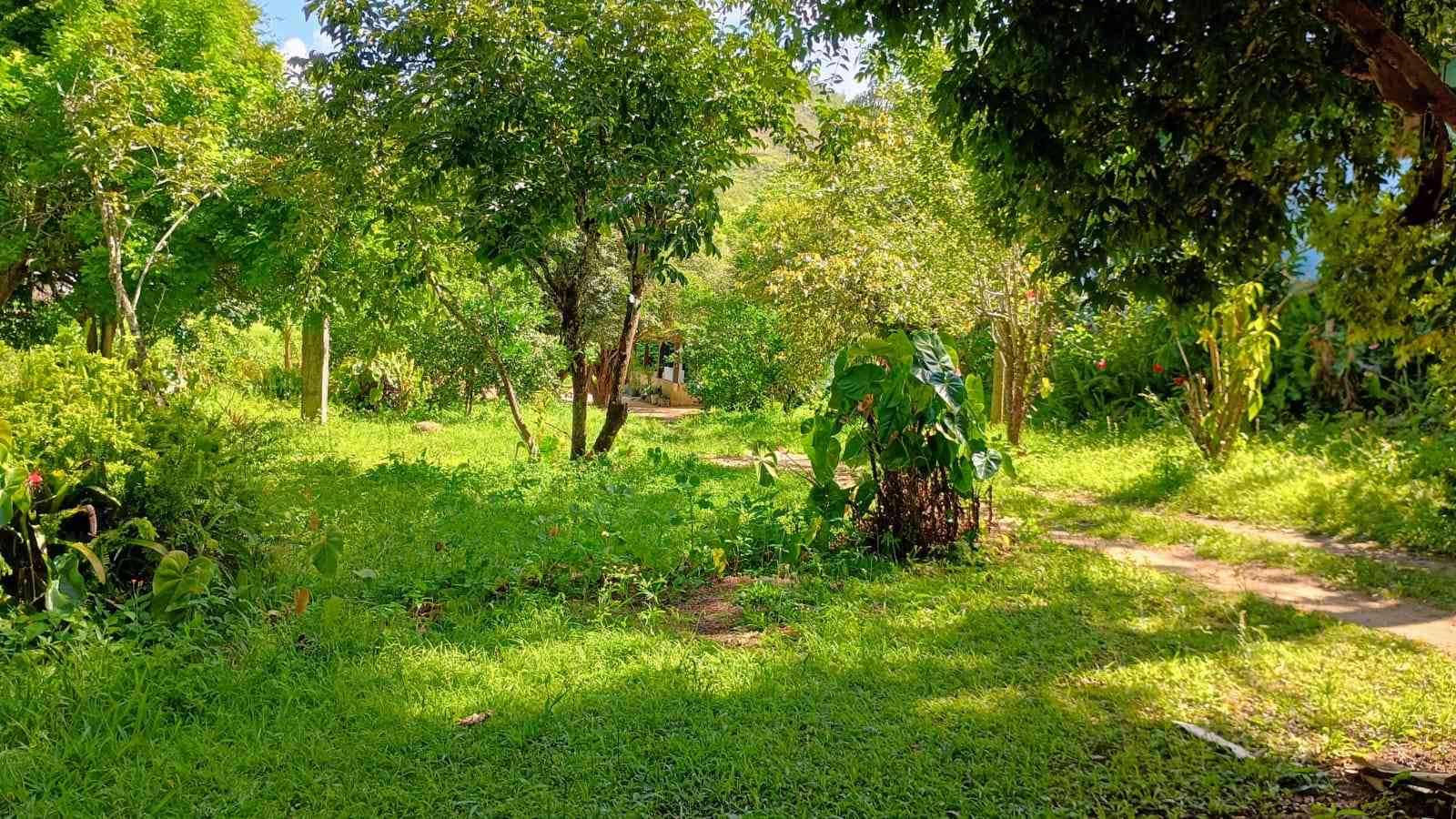 Chácara com Duas Casas