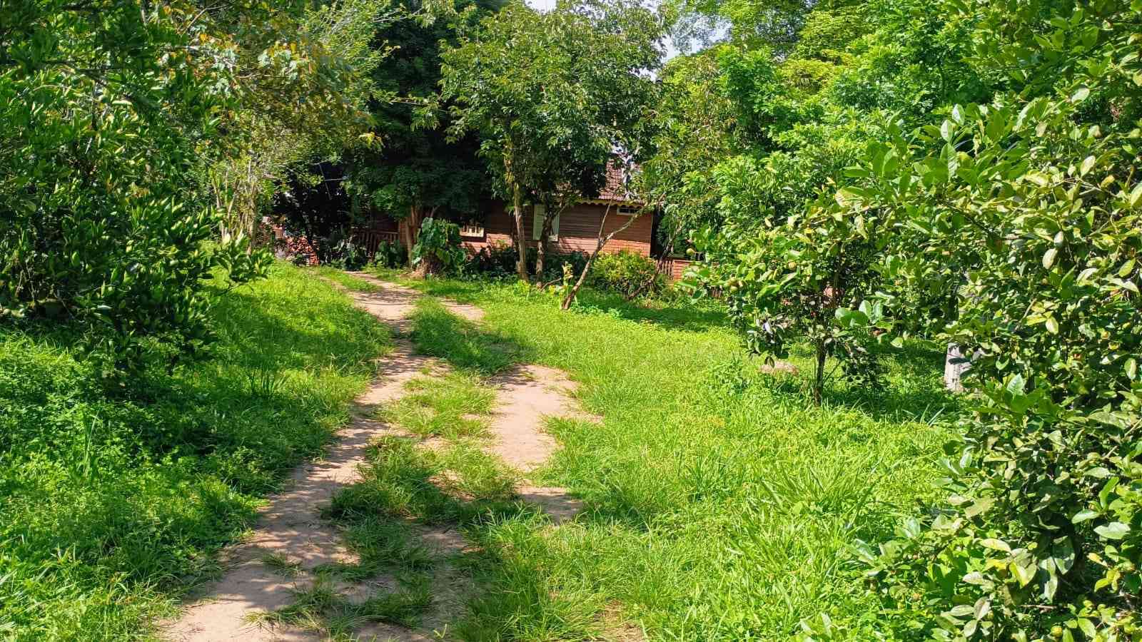 Chácara com Duas Casas
