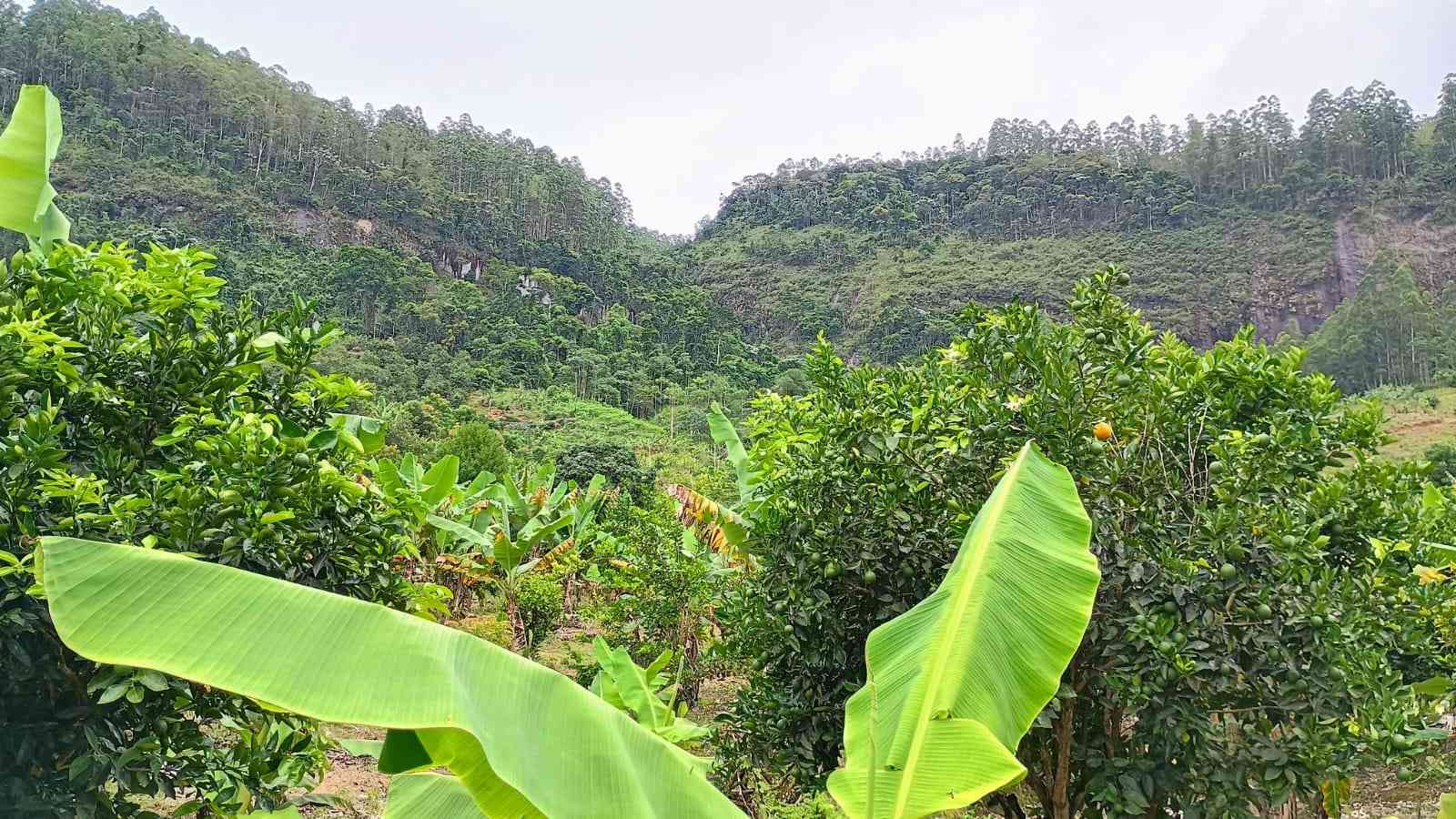 Terreno com Cachoeira