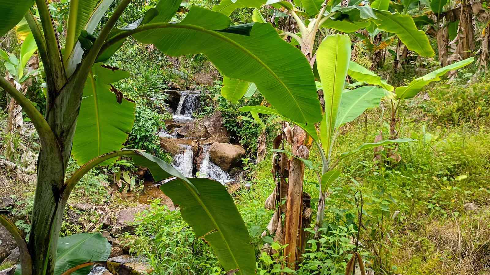 Terreno com Cachoeira