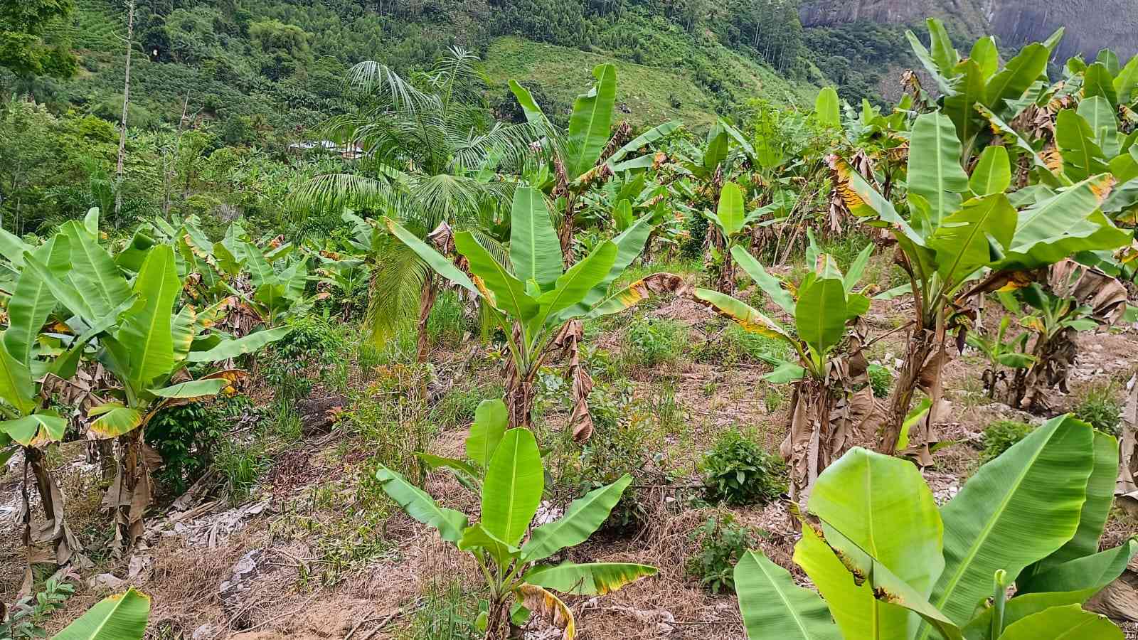 Terreno com Cachoeira