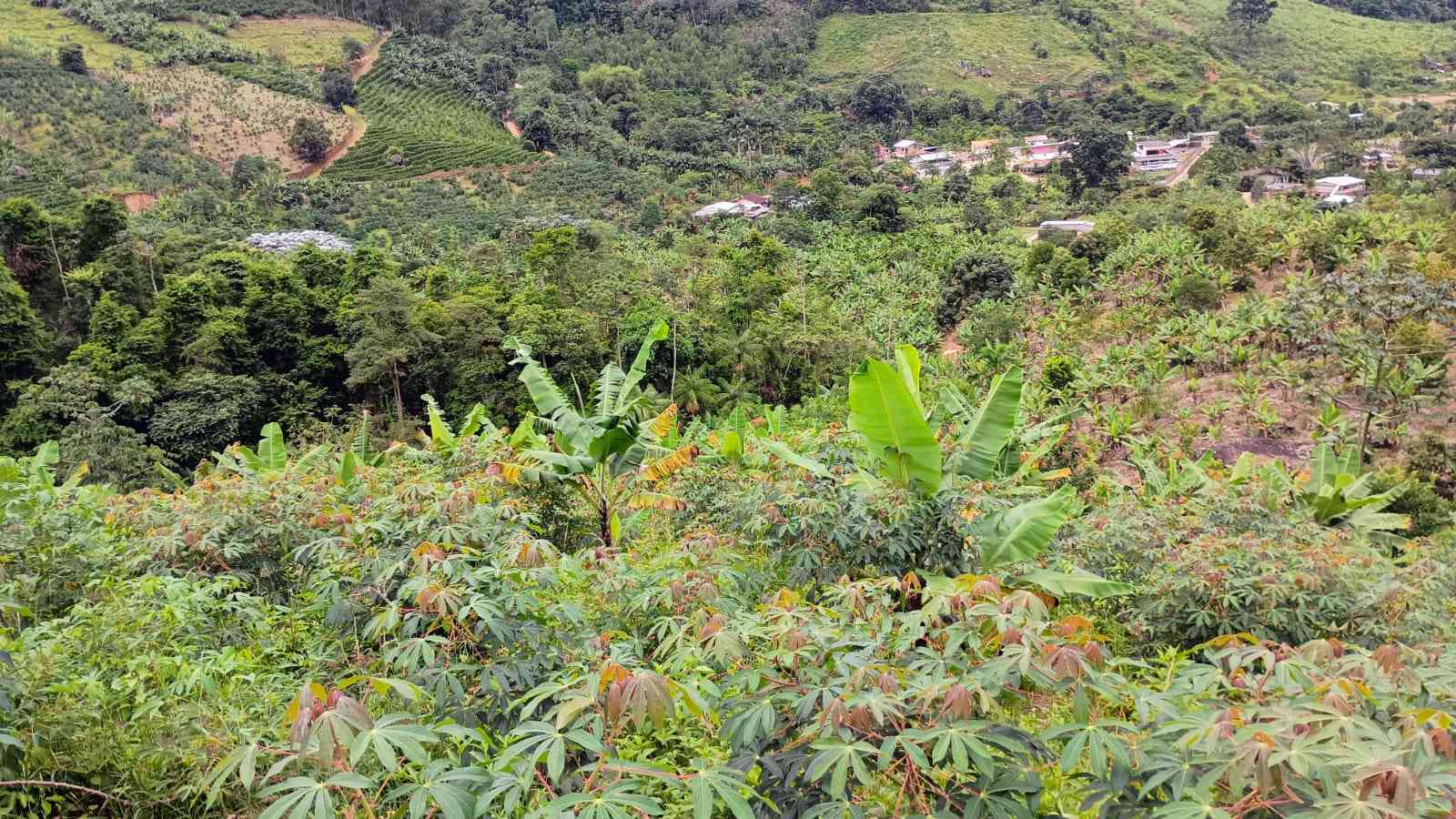 Terreno com Cachoeira