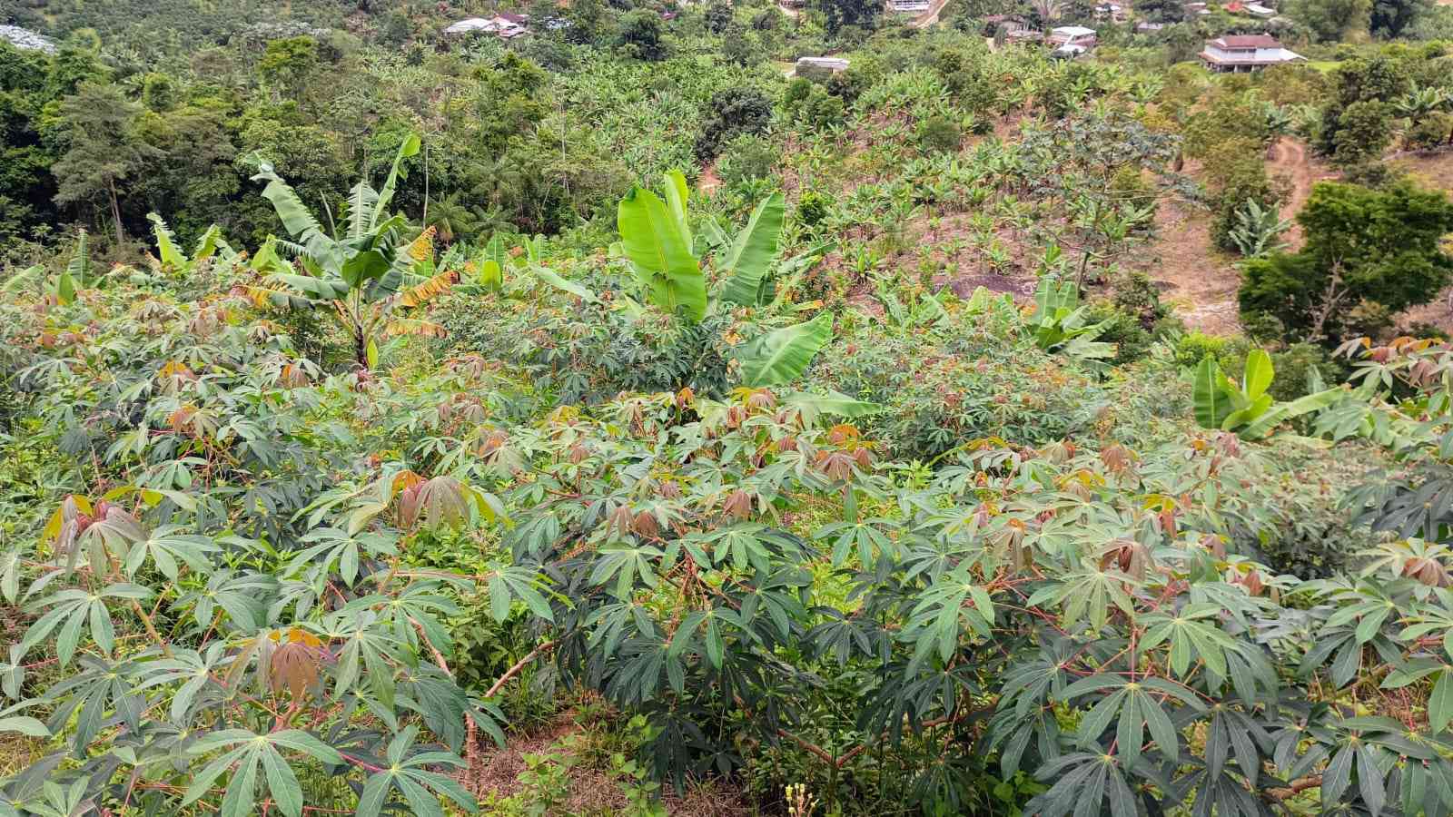 Terreno com Cachoeira