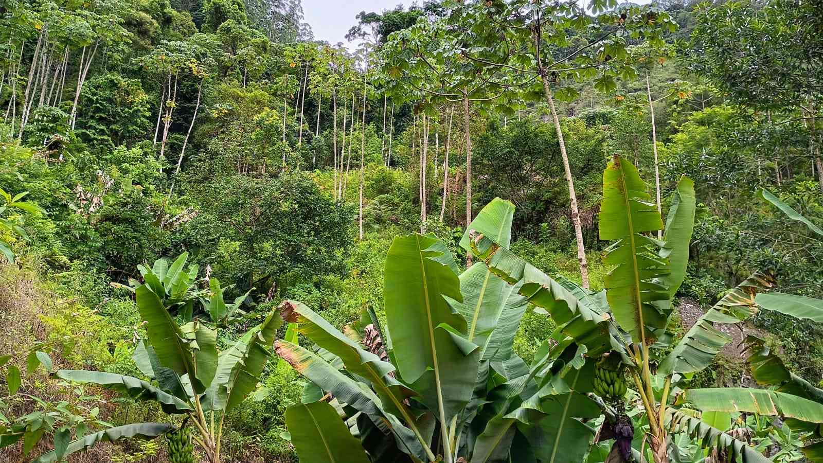 Terreno com Cachoeira