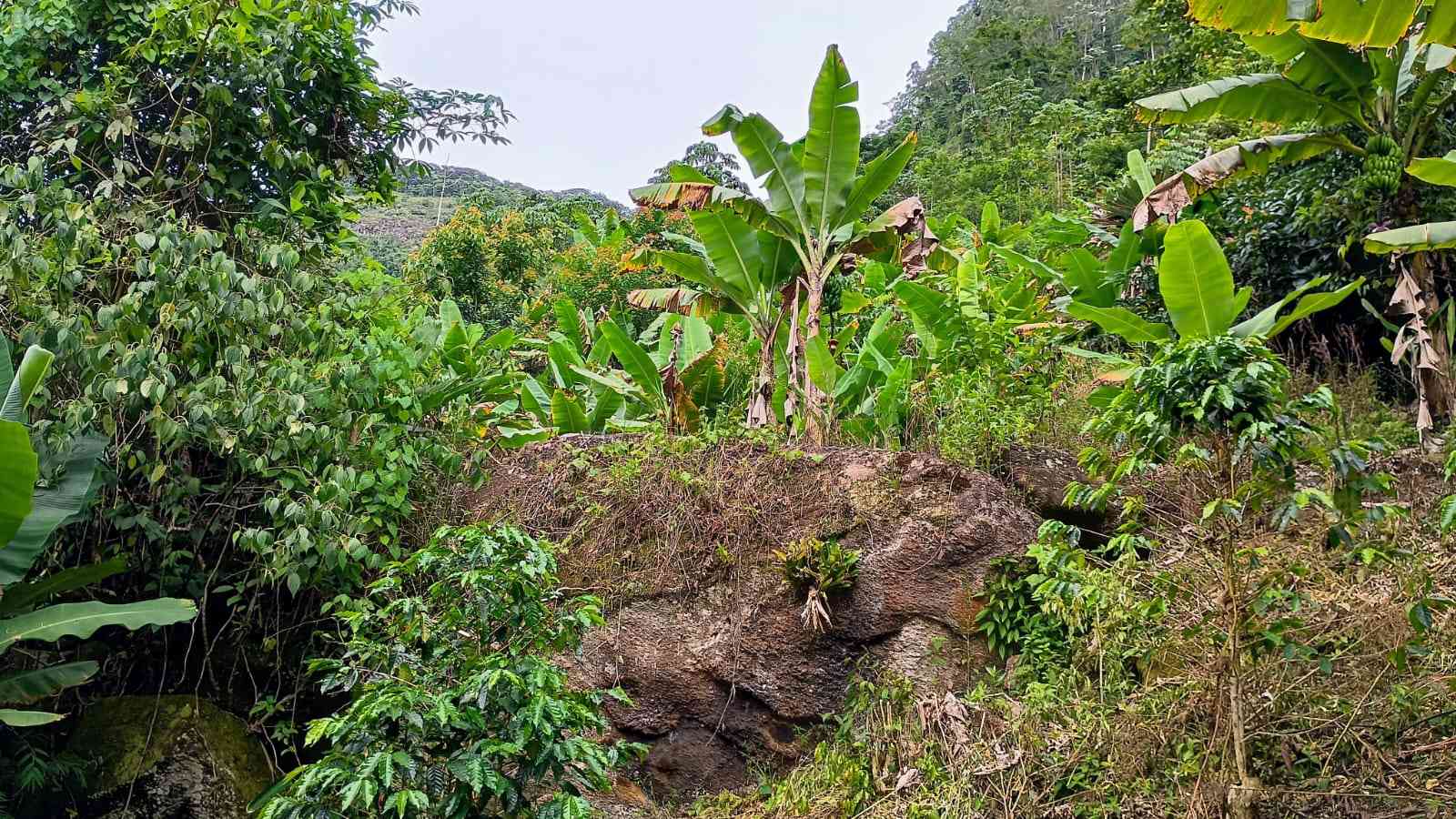 Terreno com Cachoeira