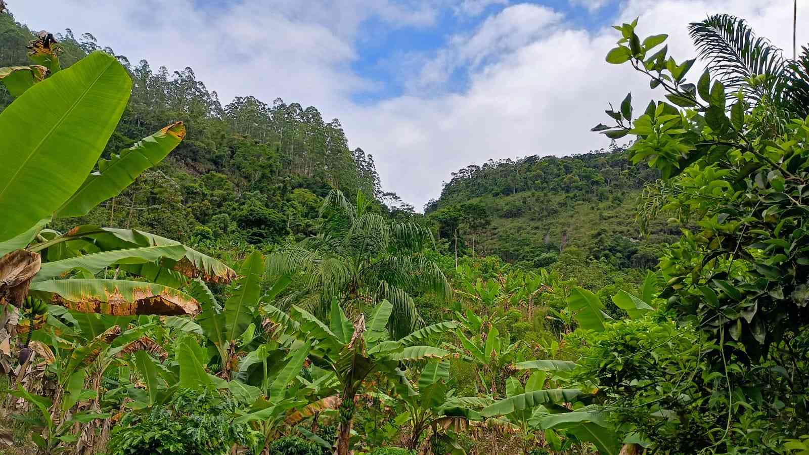 Terreno com Cachoeira