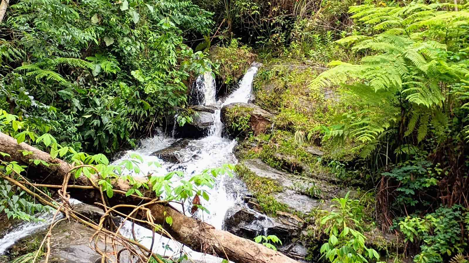 Terreno com Cachoeira