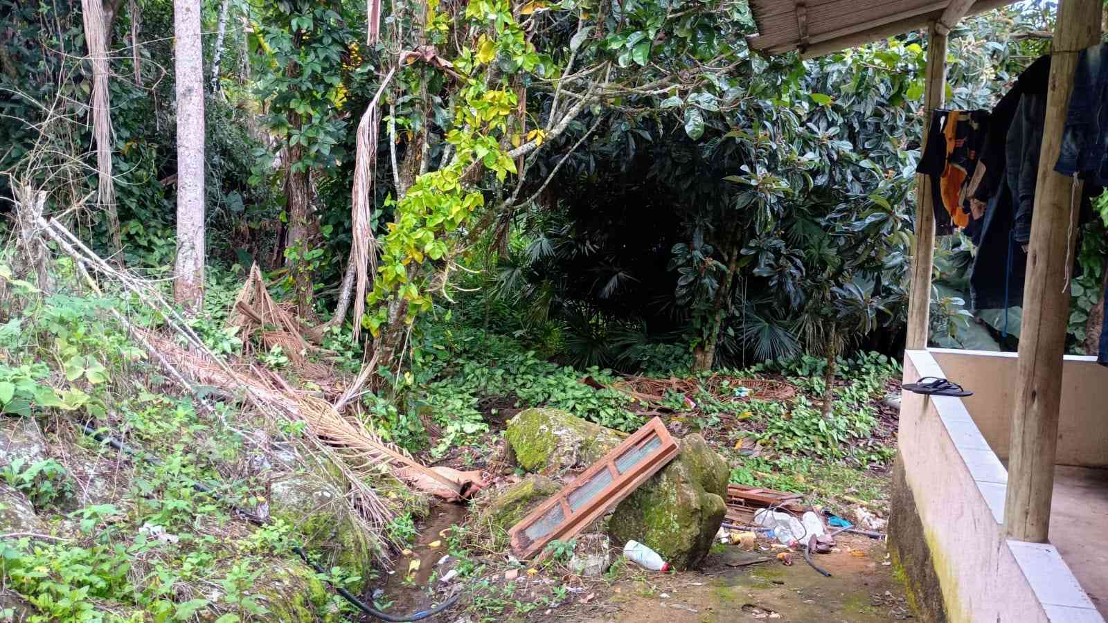 Terreno com Casa e Nascente