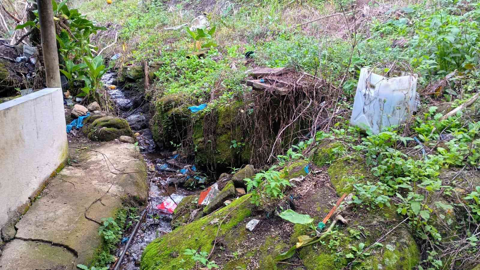 Terreno com Casa e Nascente