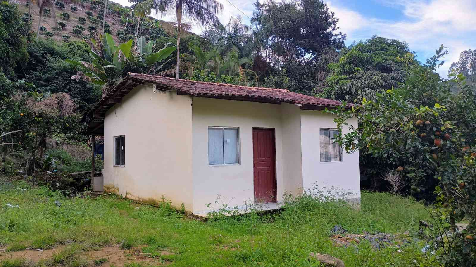 Terreno com Casa e Nascente