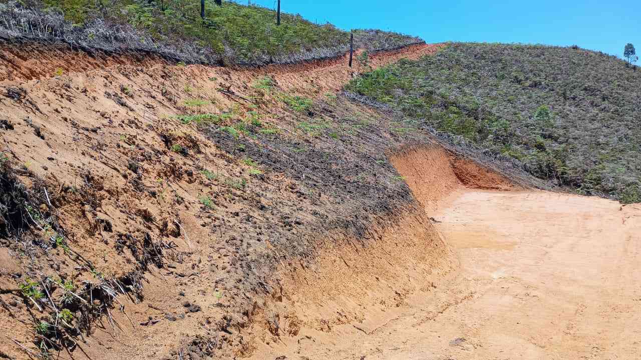 Terreno pronto para Construir