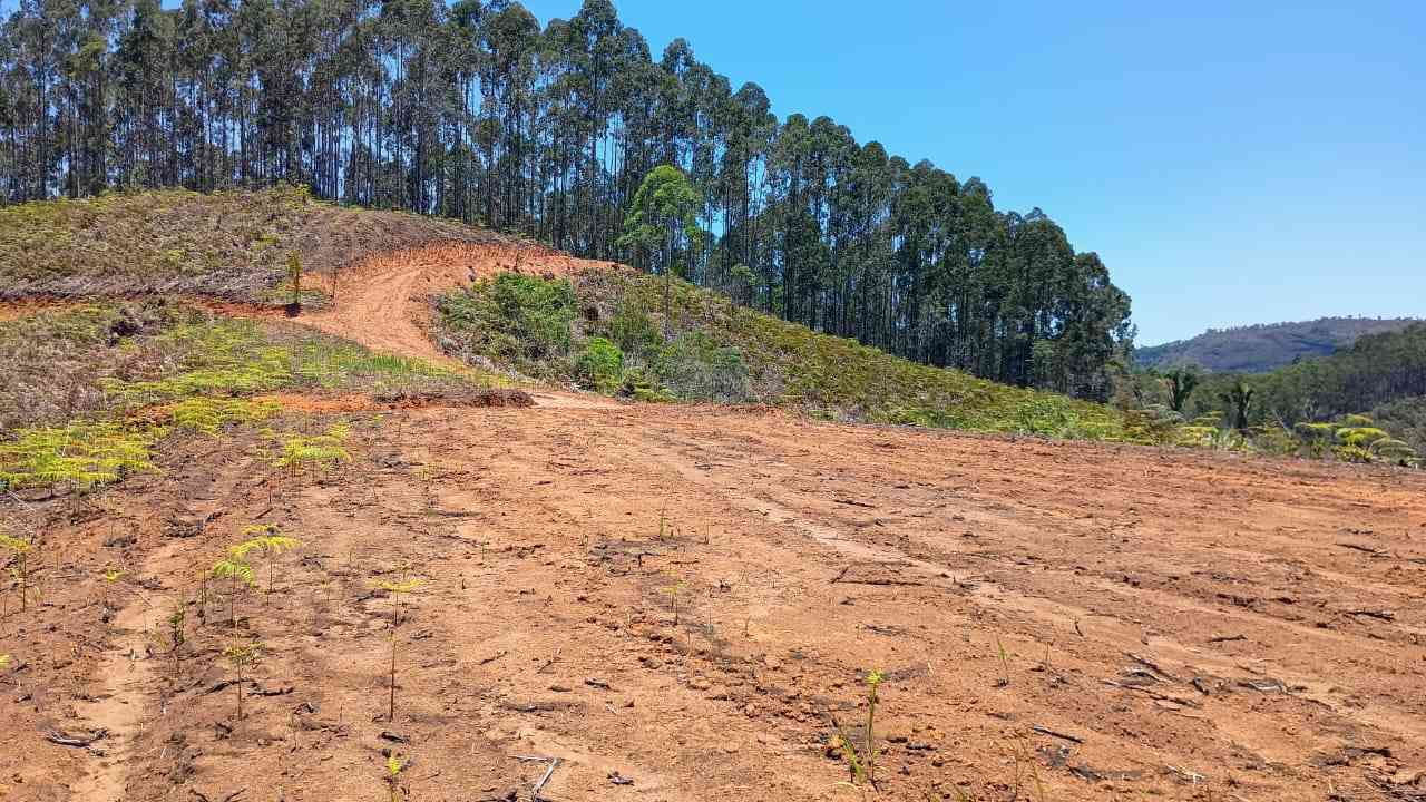 Terreno pronto para Construir
