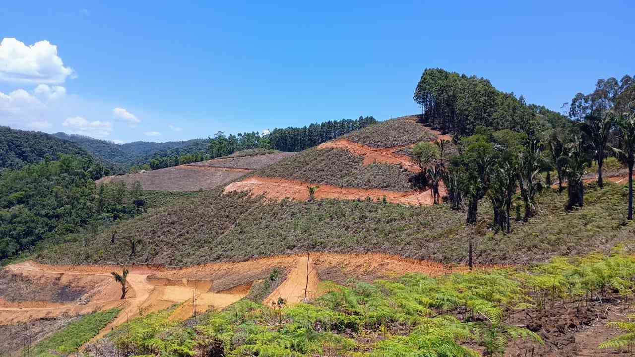 Terreno pronto para Construir
