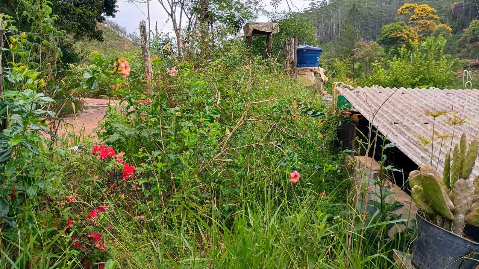 Terreno com Energia e Água instalada